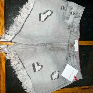 New Gray Toast Shorts